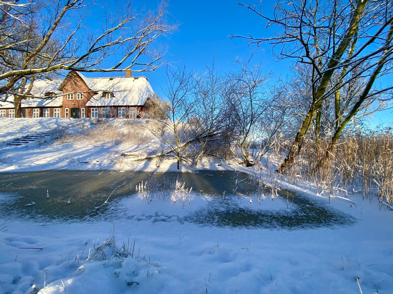 Catharinenwarft Winter